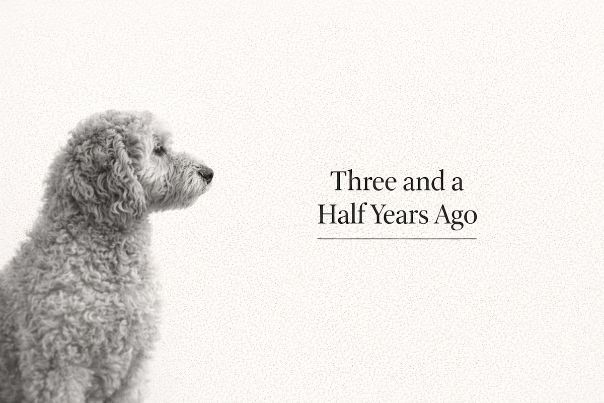 I quit my full-time manager job to do what I love -> content writing