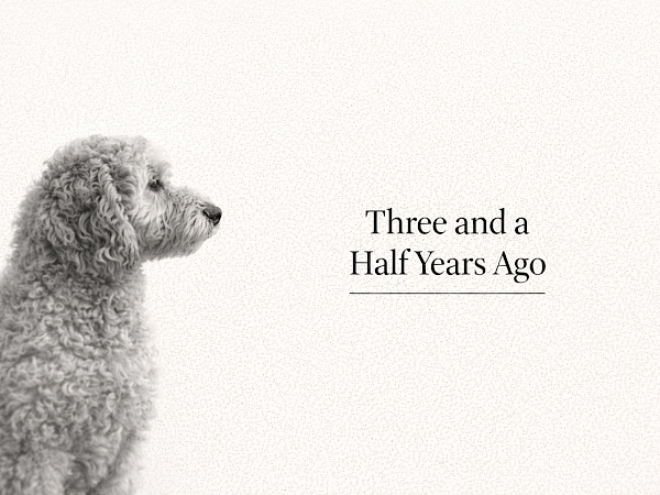 I quit my full-time manager job to do what I love -> content writing