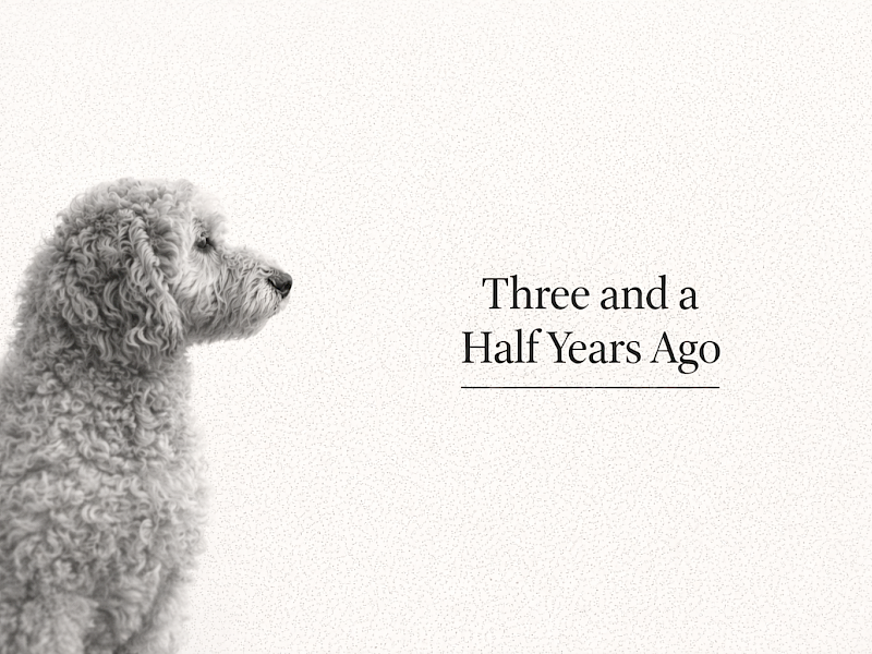 I quit my full-time manager job to do what I love -> content writing