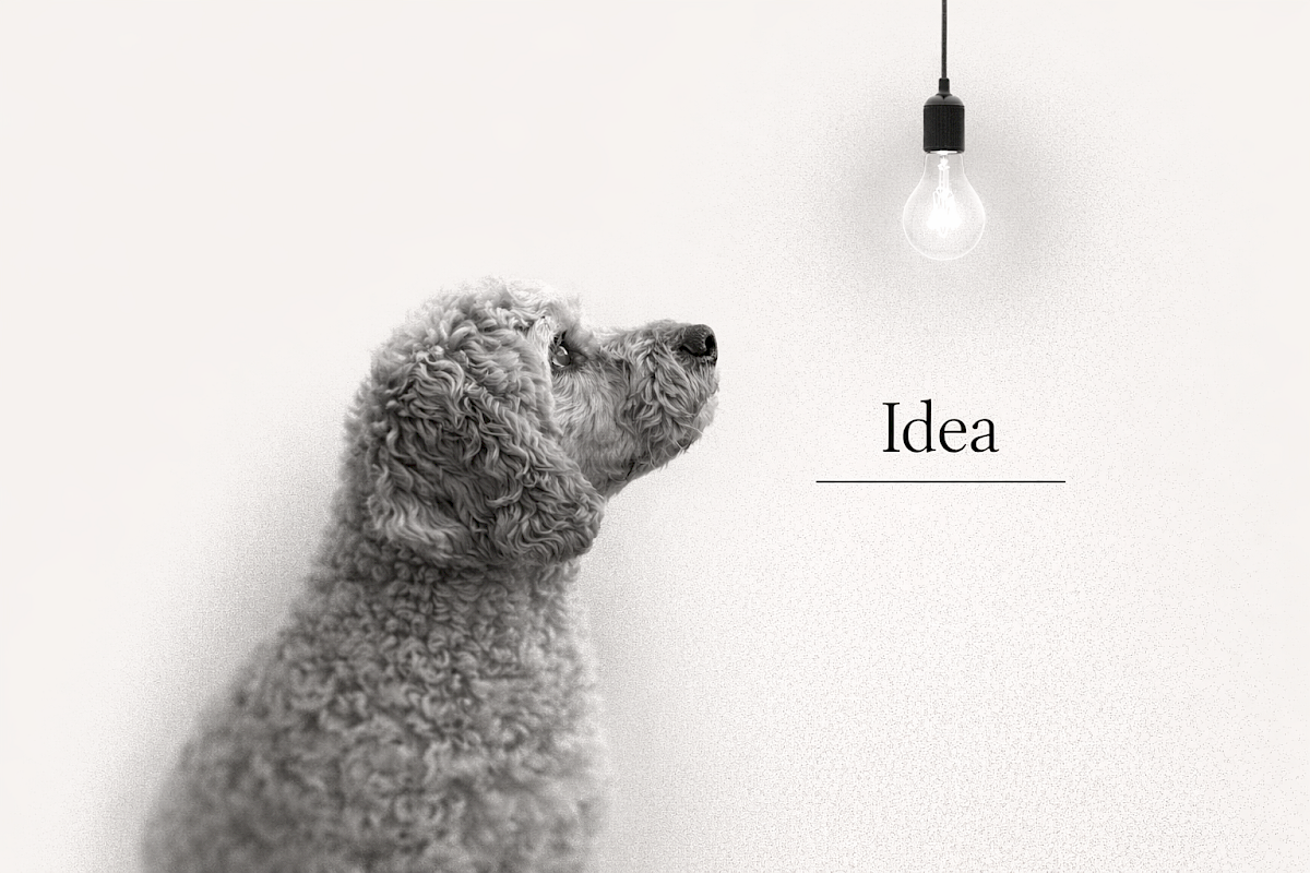 How I master one-liner(s) in copywriting