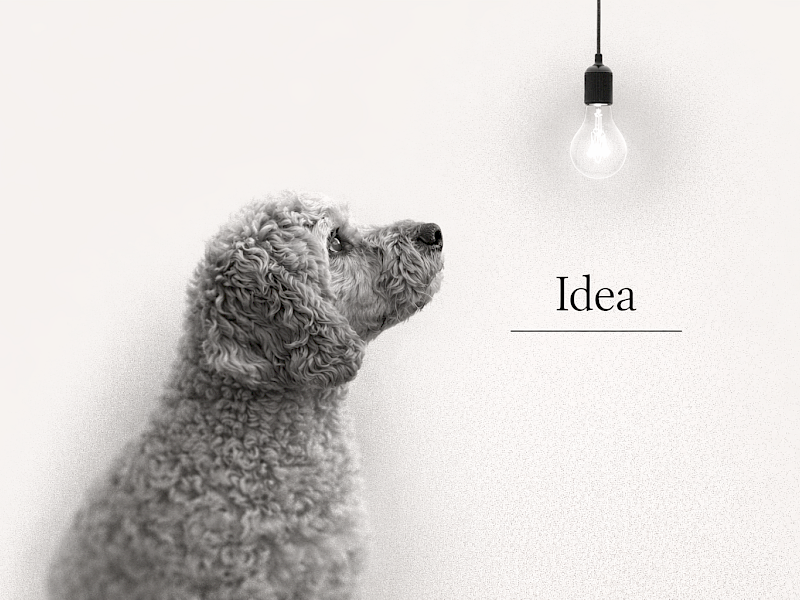 How I master one-liner(s) in copywriting