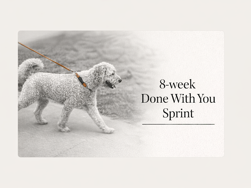 8-week Done With You Sprint